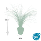 Product afbeelding 2