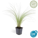 Product afbeelding 5