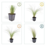 Product afbeelding 3