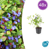Product afbeelding 13