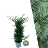 Product afbeelding 1