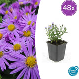 Product afbeelding 2