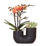 Product afbeelding 3