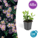 Product afbeelding 12