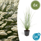 Product afbeelding 11