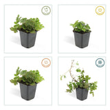 Product afbeelding 3
