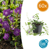 Product afbeelding 1