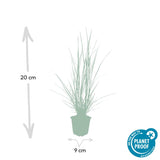 Product afbeelding 4