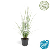 Product afbeelding 3