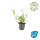 Product afbeelding 3