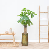 Product afbeelding 5