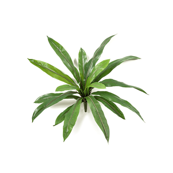 Varen Asplenium kunstplant - 40 cm