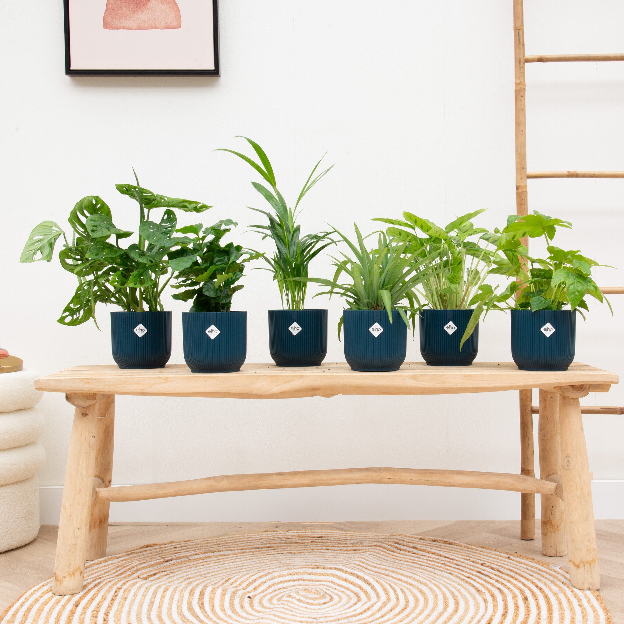 Parterre Surélevé En Bois 80x74 Cm - Potager Balcon Avec Bac Intégré - Relaxdays