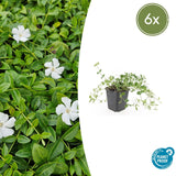 Product afbeelding 1