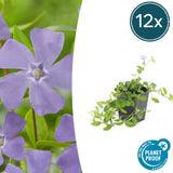 Product afbeelding 6