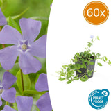 Product afbeelding 9