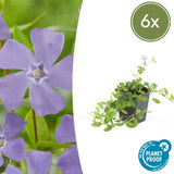 Product afbeelding 1