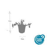 Product afbeelding 3