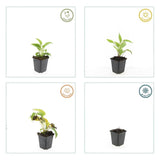 Product afbeelding 4