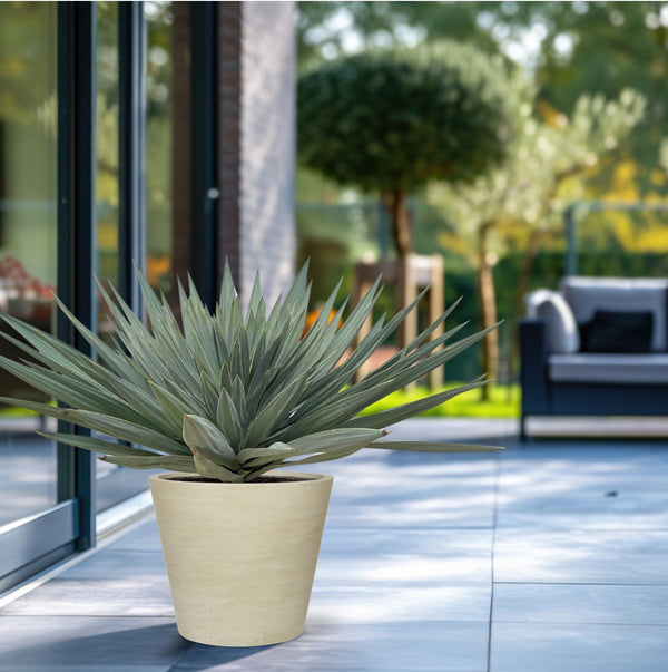 Yucca Gloriosa 'Lone Star' - 140 cm kopen bij Green Bubble